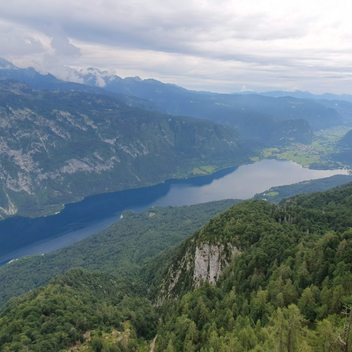 Blick auf den  Bohinjsko jezero