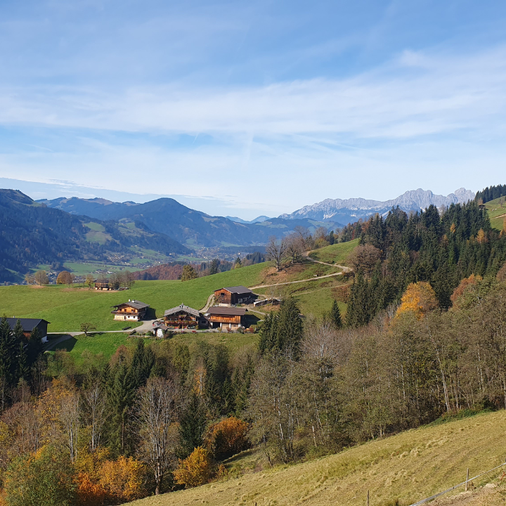 Blick Richtung Wilder Kaiser