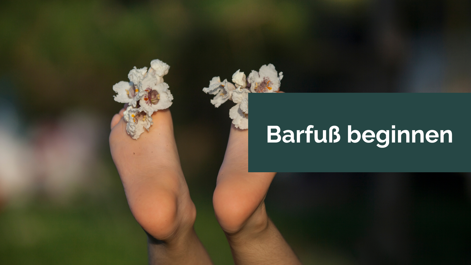 Barfuß beginnen