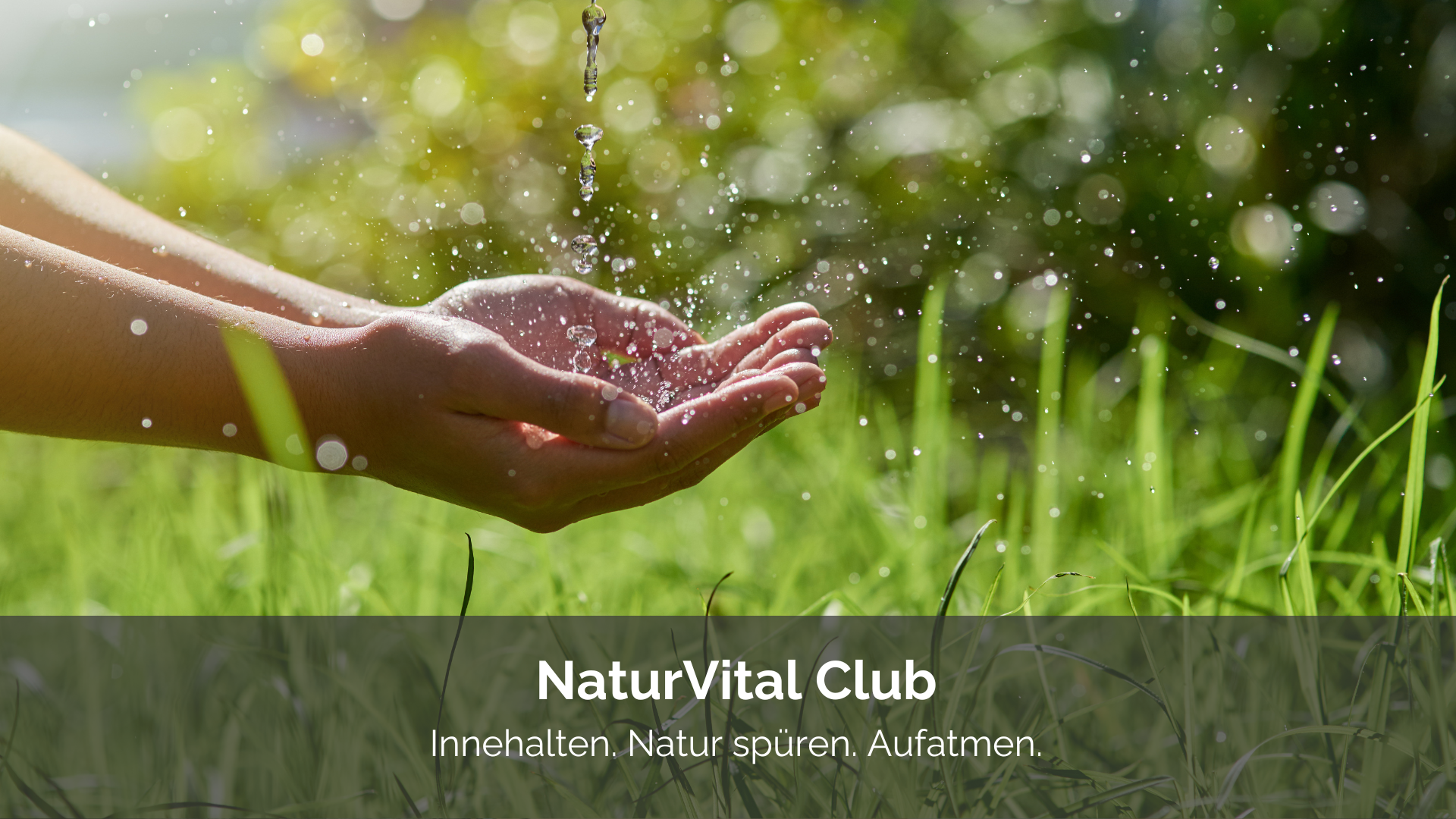 NaturVital Club - Innehalten. Natur spüren. Aufatmen.