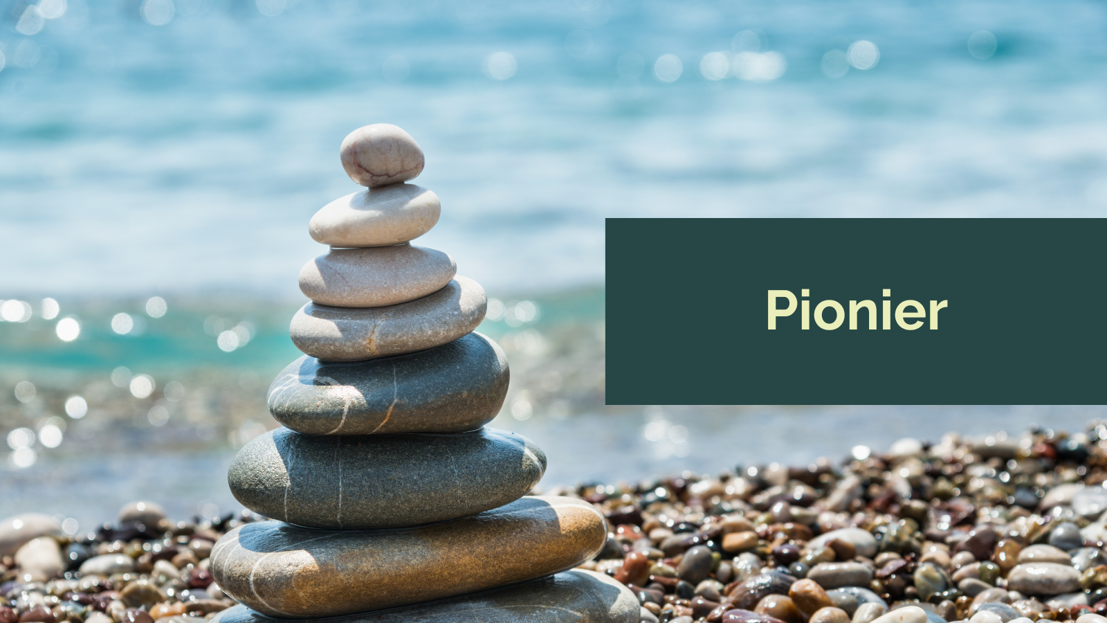 Pionier Pionier