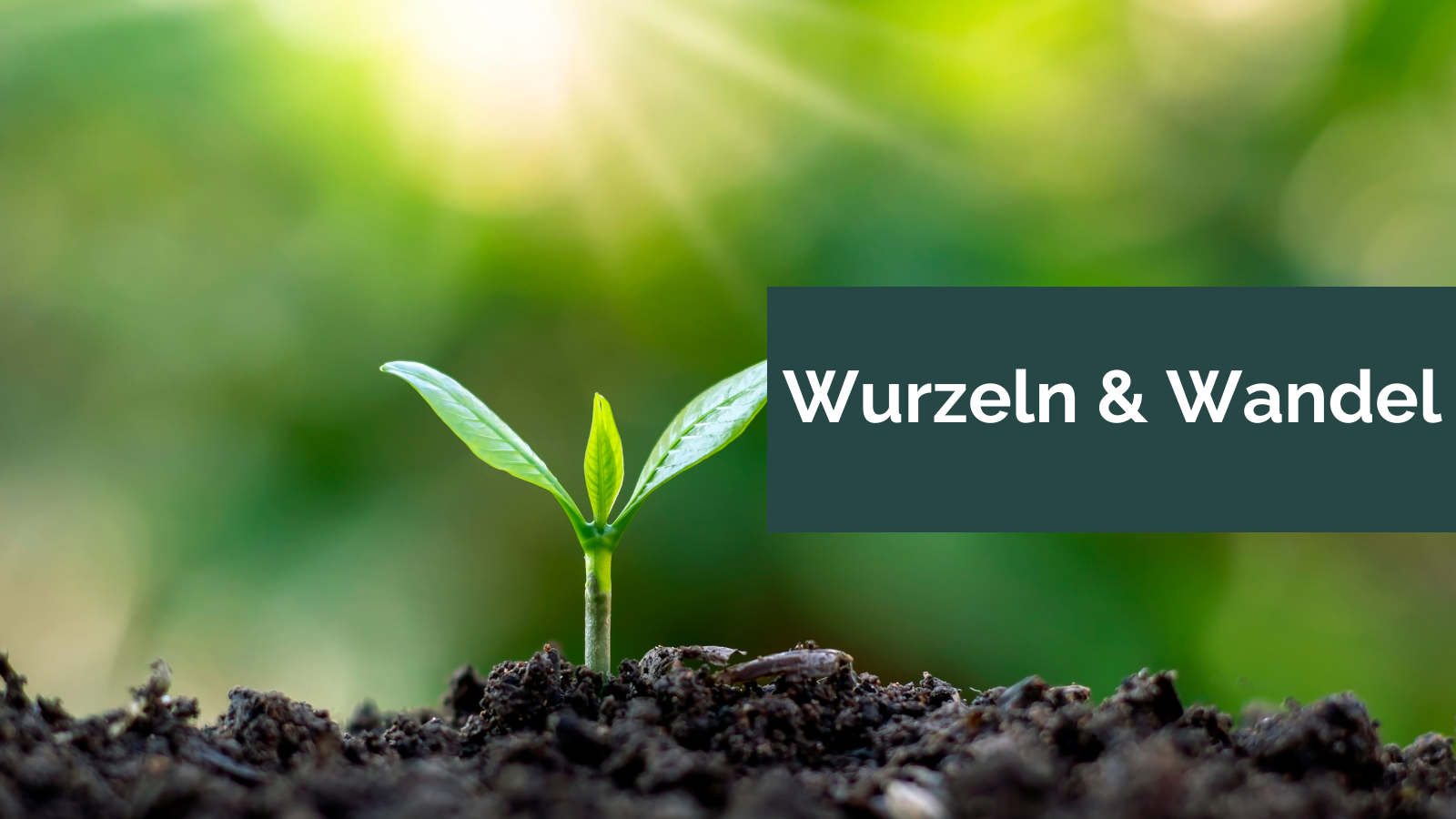 Wurzeln & Wandel Wurzeln & Wandel