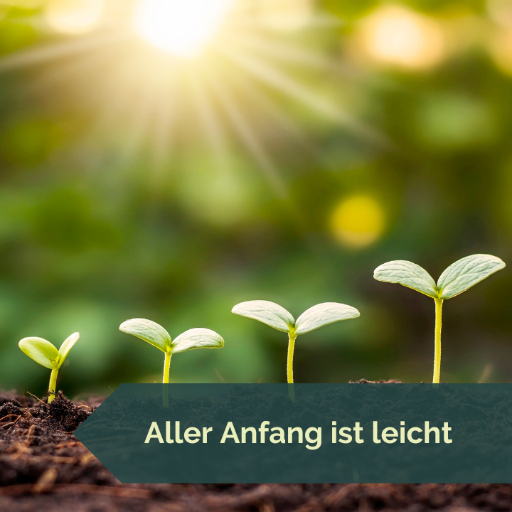 Aller Anfang ist leicht