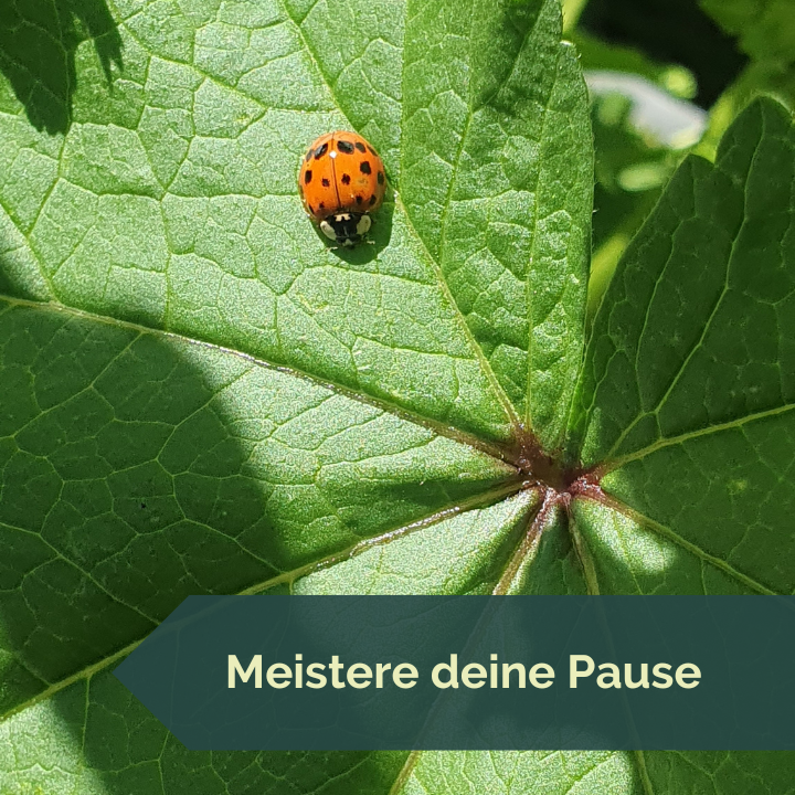 Meistere deine Pause