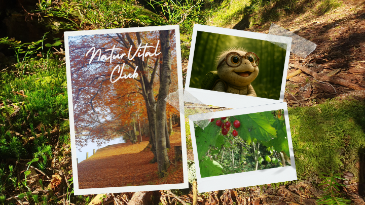 NaturVital Club - Spüren als Haltung