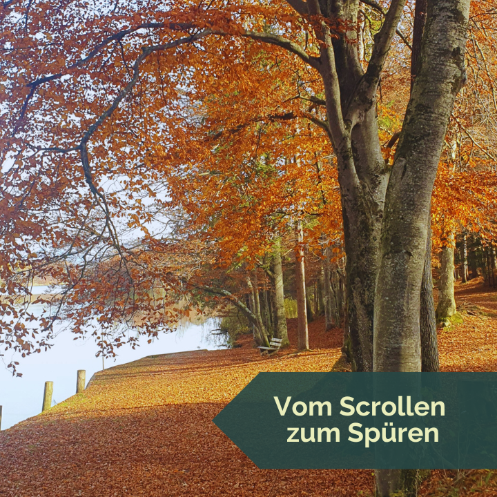 Der NaturVital Club ist mehr als Social Media