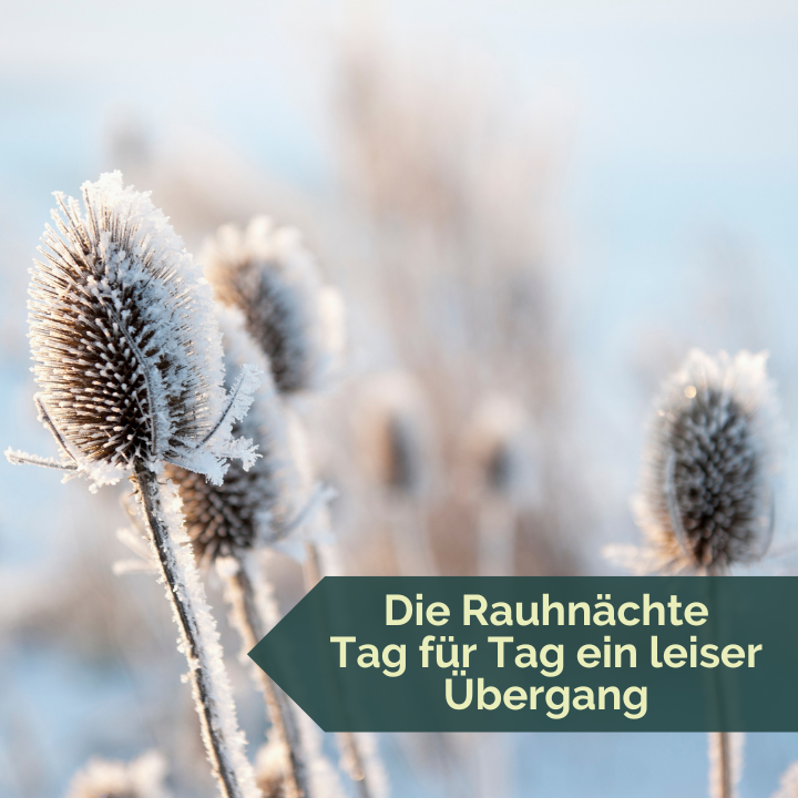 NaturVital Rauhnächte