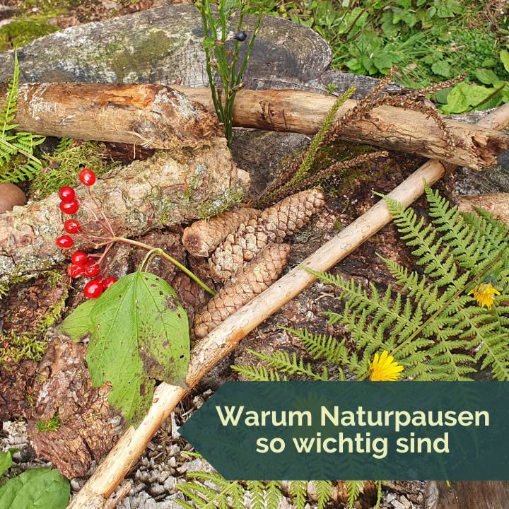 Kreative Naturpausen Kreative Naturpausen