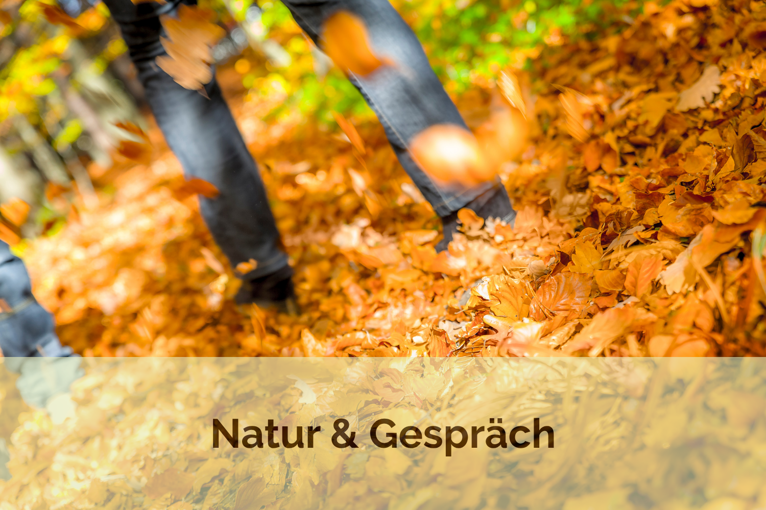 Natur & Gespräch Spaziergang