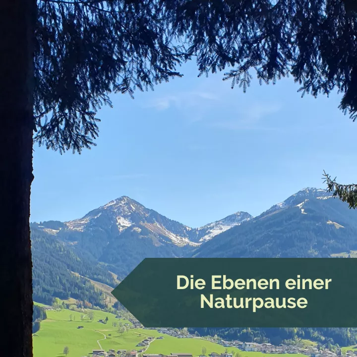 Die Ebenen einer Naturpause