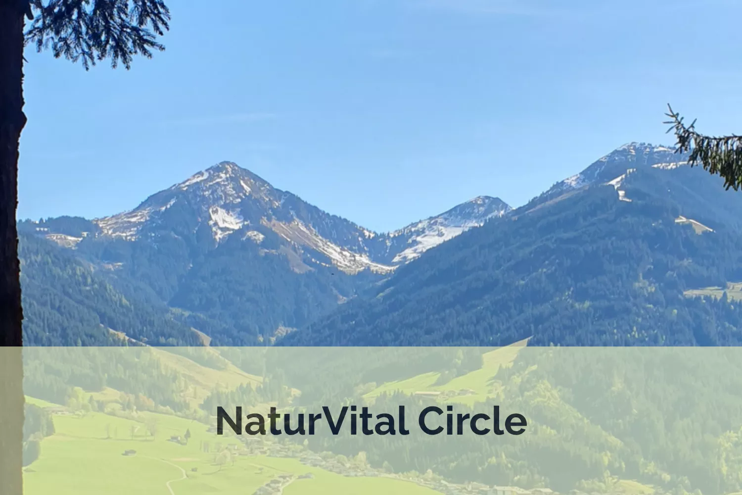 NaturVital Circle