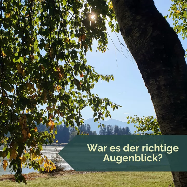 Sonnenlicht fällt durch das Blätterdach eines Baumes. Im Hintergrund liegt der Schwarzsee. Sonnenlicht fällt durch das Blätterdach eines Baumes. Im Hintergrund liegt der Schwarzsee.