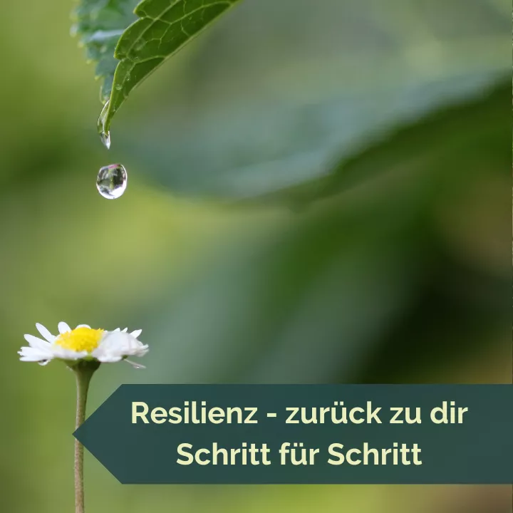 Resilienz - zurück zu dir