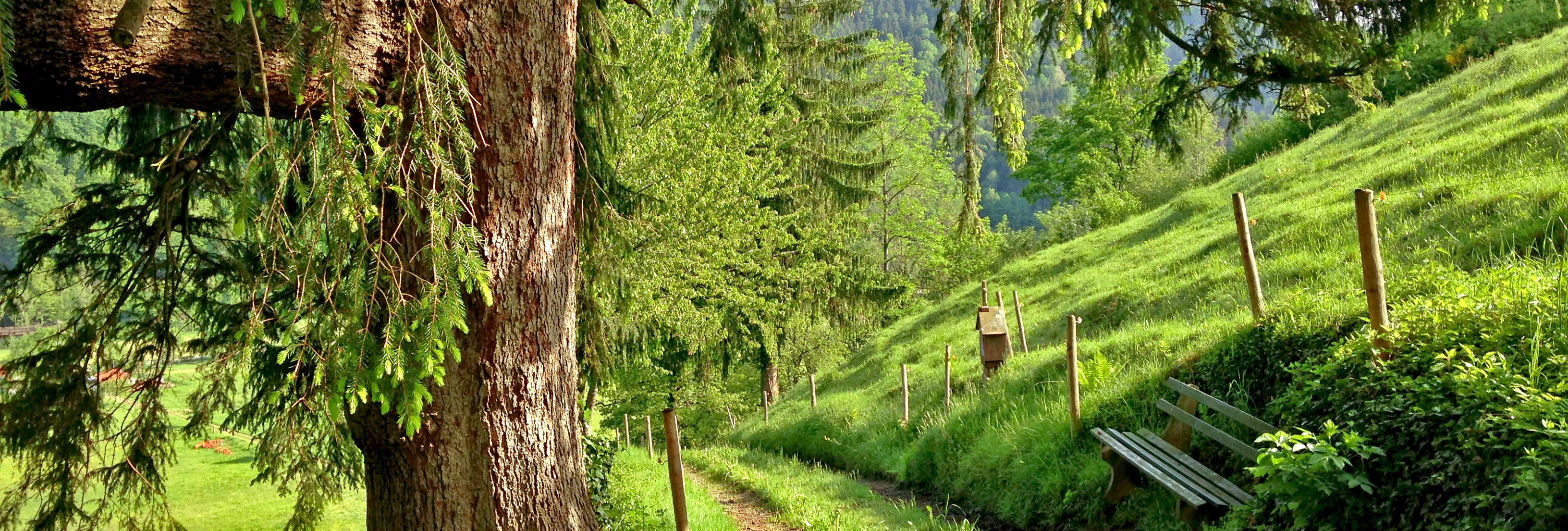 wiesenweg-hg.606ea3a3cdfc0